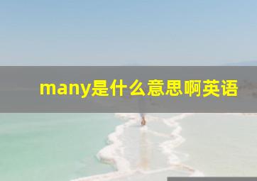 many是什么意思啊英语