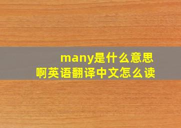 many是什么意思啊英语翻译中文怎么读