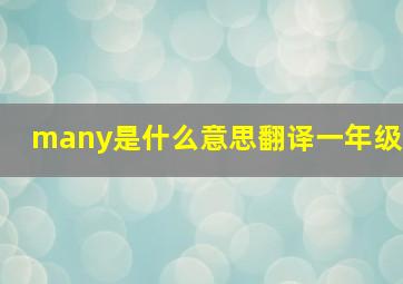 many是什么意思翻译一年级