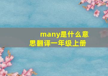 many是什么意思翻译一年级上册