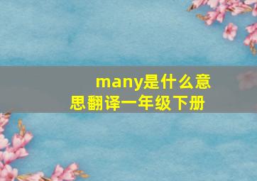 many是什么意思翻译一年级下册