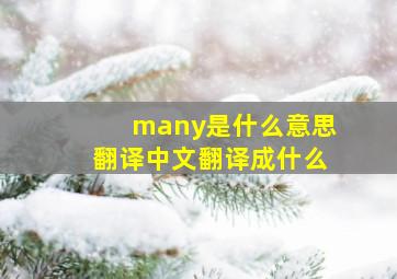 many是什么意思翻译中文翻译成什么