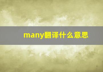 many翻译什么意思