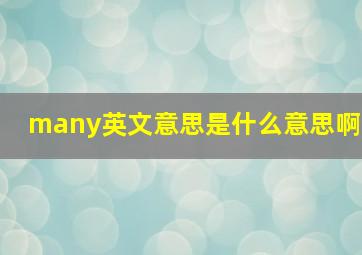 many英文意思是什么意思啊