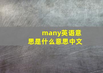 many英语意思是什么意思中文