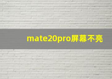 mate20pro屏幕不亮