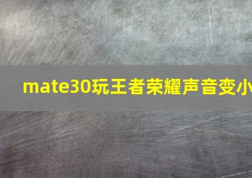 mate30玩王者荣耀声音变小