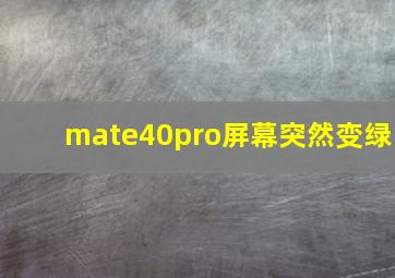 mate40pro屏幕突然变绿