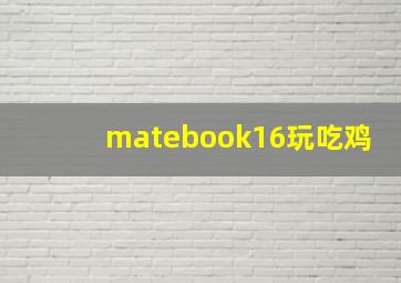 matebook16玩吃鸡