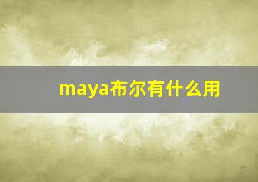 maya布尔有什么用