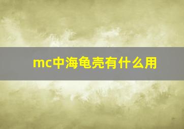 mc中海龟壳有什么用