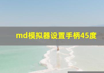 md模拟器设置手柄45度