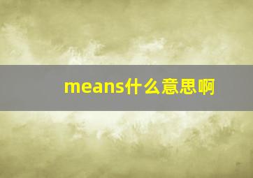 means什么意思啊