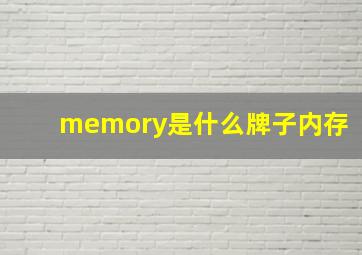 memory是什么牌子内存