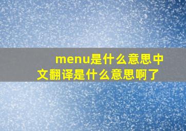 menu是什么意思中文翻译是什么意思啊了