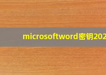 microsoftword密钥2021