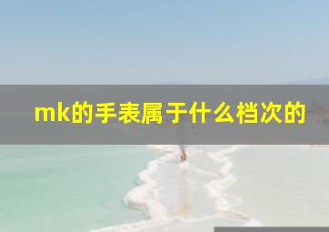 mk的手表属于什么档次的