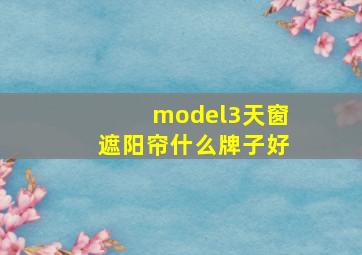 model3天窗遮阳帘什么牌子好