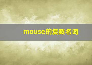 mouse的复数名词