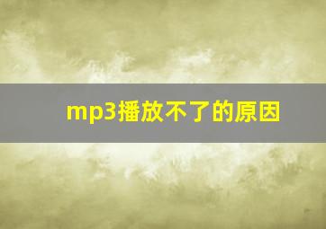 mp3播放不了的原因