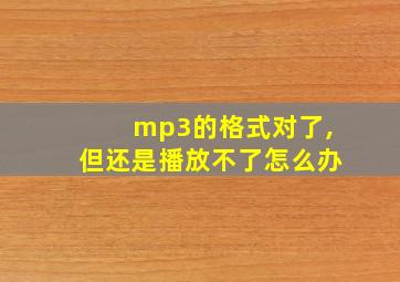 mp3的格式对了,但还是播放不了怎么办