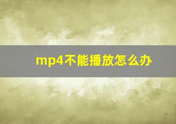 mp4不能播放怎么办