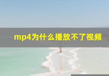 mp4为什么播放不了视频