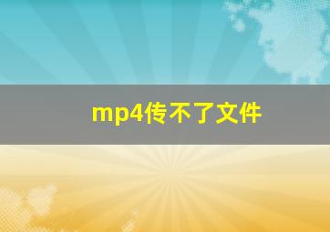 mp4传不了文件