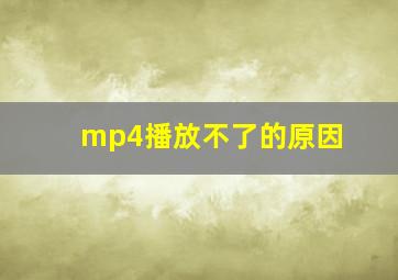 mp4播放不了的原因