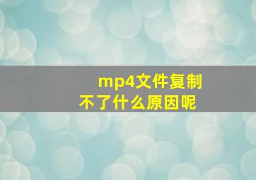 mp4文件复制不了什么原因呢