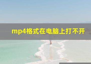 mp4格式在电脑上打不开