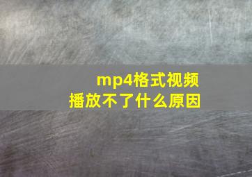 mp4格式视频播放不了什么原因