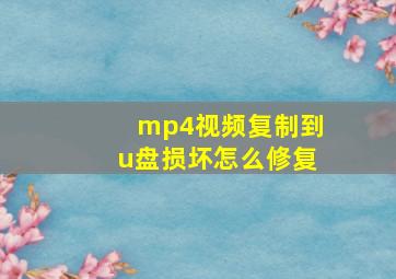 mp4视频复制到u盘损坏怎么修复