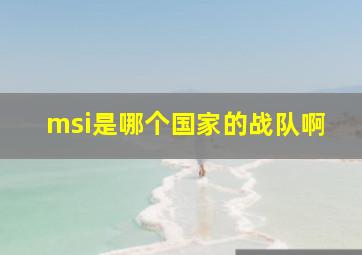 msi是哪个国家的战队啊