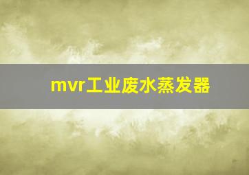 mvr工业废水蒸发器