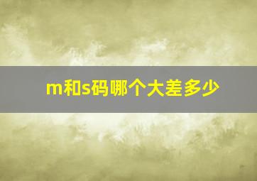 m和s码哪个大差多少