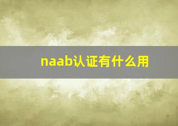 naab认证有什么用