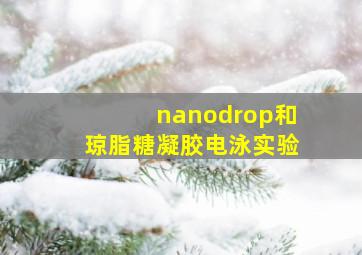 nanodrop和琼脂糖凝胶电泳实验