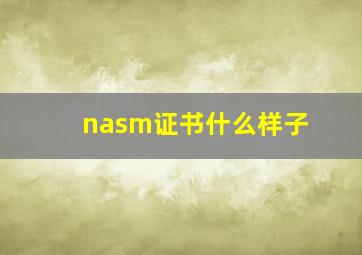 nasm证书什么样子