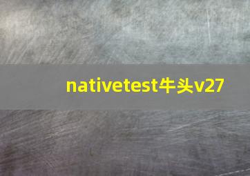 nativetest牛头v27