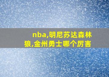 nba,明尼苏达森林狼,金州勇士哪个厉害