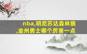 nba,明尼苏达森林狼,金州勇士哪个厉害一点