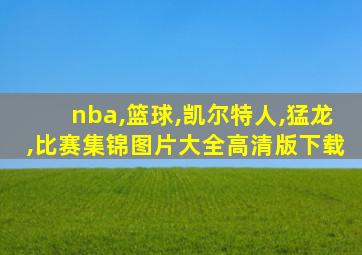 nba,篮球,凯尔特人,猛龙,比赛集锦图片大全高清版下载