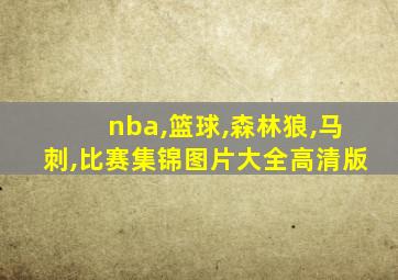 nba,篮球,森林狼,马刺,比赛集锦图片大全高清版