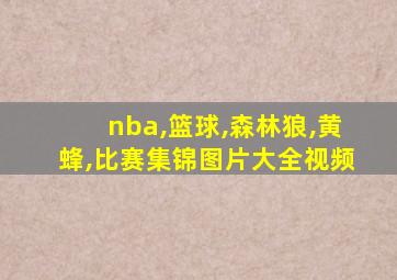 nba,篮球,森林狼,黄蜂,比赛集锦图片大全视频