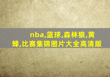 nba,篮球,森林狼,黄蜂,比赛集锦图片大全高清版