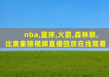 nba,篮球,火箭,森林狼,比赛集锦视频直播回放在线观看