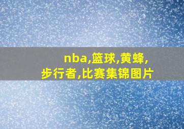 nba,篮球,黄蜂,步行者,比赛集锦图片