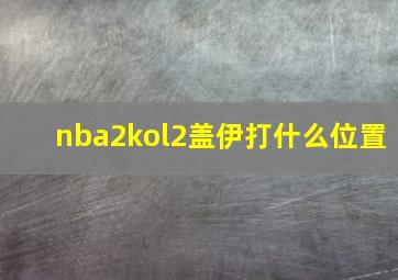 nba2kol2盖伊打什么位置