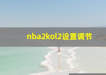 nba2kol2设置调节